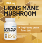 Lions-mane-mushroom_front